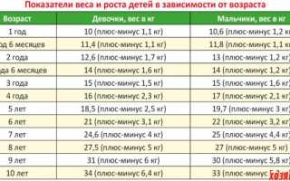 До какого возраста растут шиншиллы