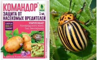 Инструкция по применению средства Командор от колорадского жука