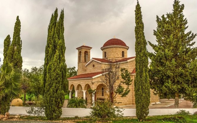 Кипарис в ландшафтном дизайне