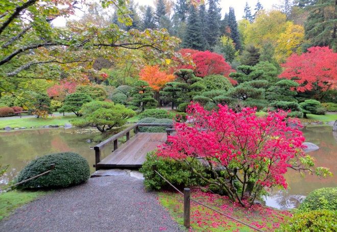 композиция на берегу водоема