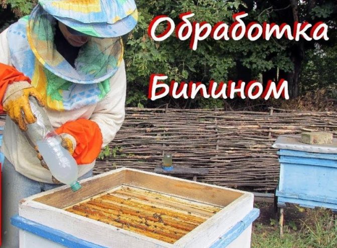 обработка пчел бипином осенью дозировка
