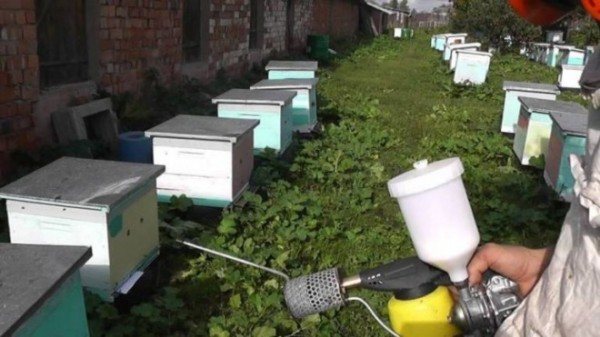Обработка пчел от клеща осенью Бипином — описания, правила проведения процедуры, эффективность