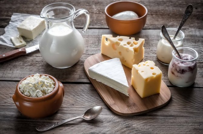 Сыр и молочные продукты