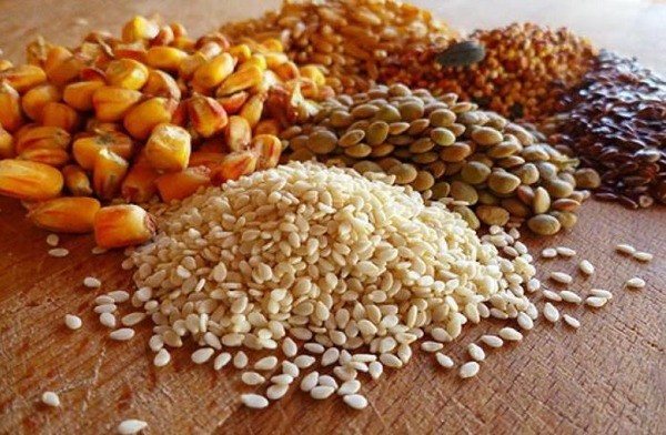 Зерновые культуры